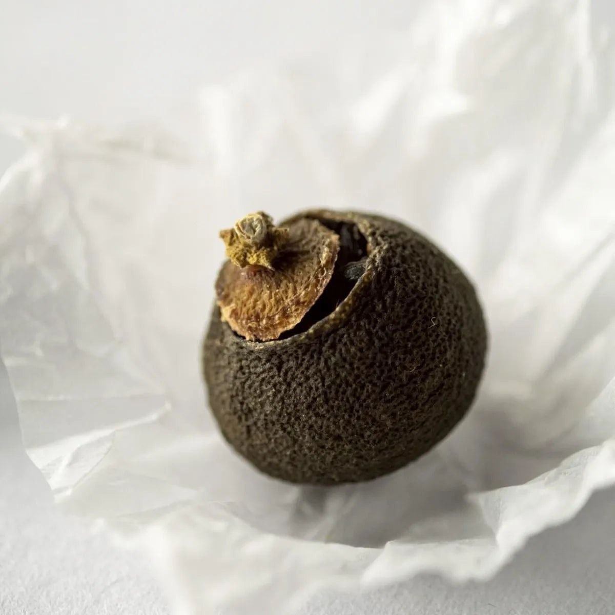 伊势小青柑 SS尺寸 (5个装)