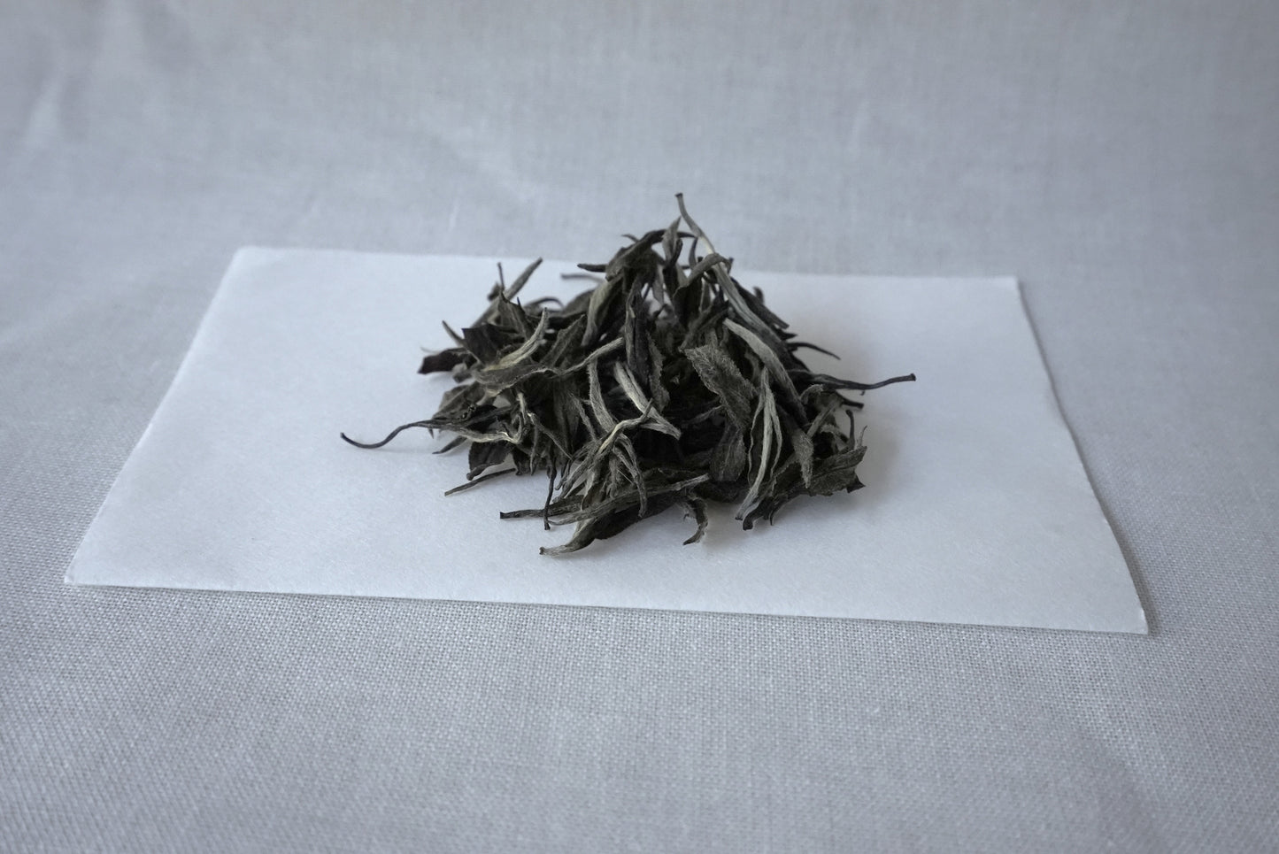 伊势水香白茶(红富贵)
