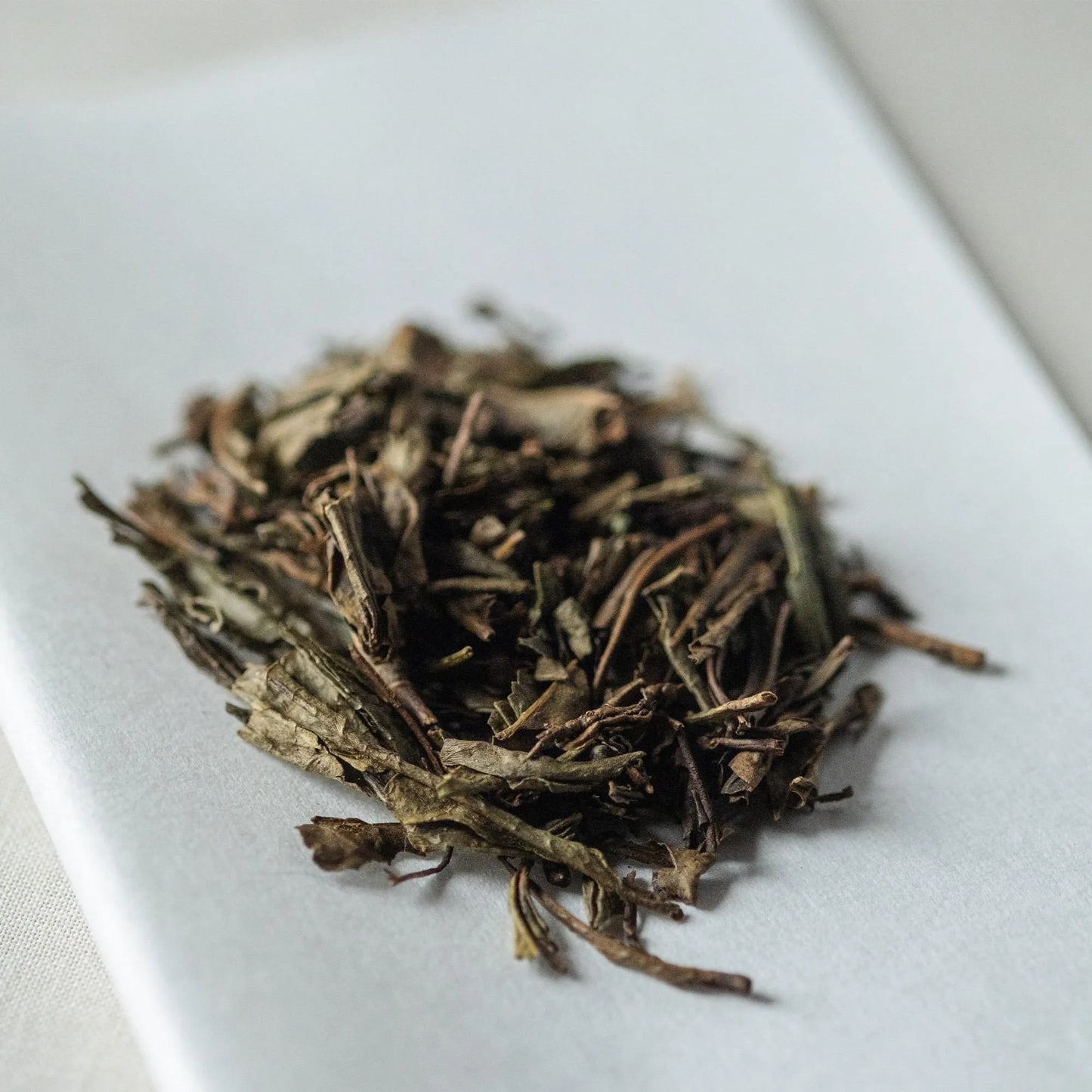 每日茶