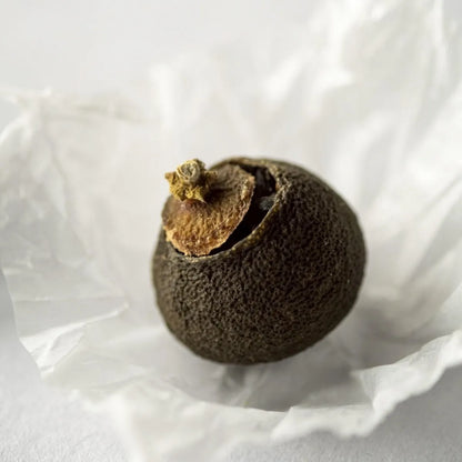 伊势小青柑 SS尺寸 (5个装)