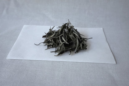 伊势水香白茶（红富贵）